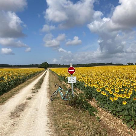 La Ruche Bed & Breakfast Paizay-Naudouin-Embourie Eksteriør bilde