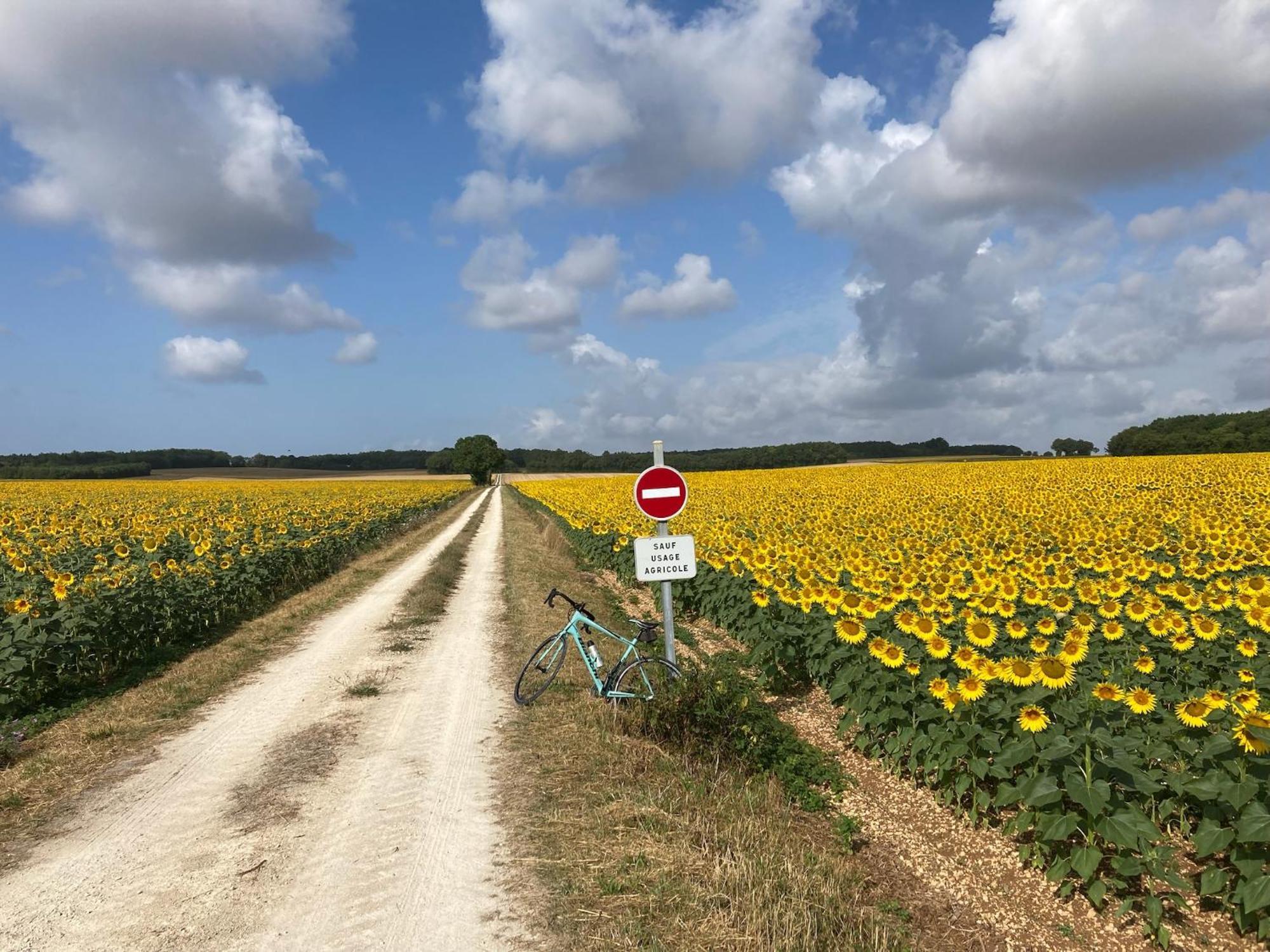 La Ruche Bed & Breakfast Paizay-Naudouin-Embourie Eksteriør bilde