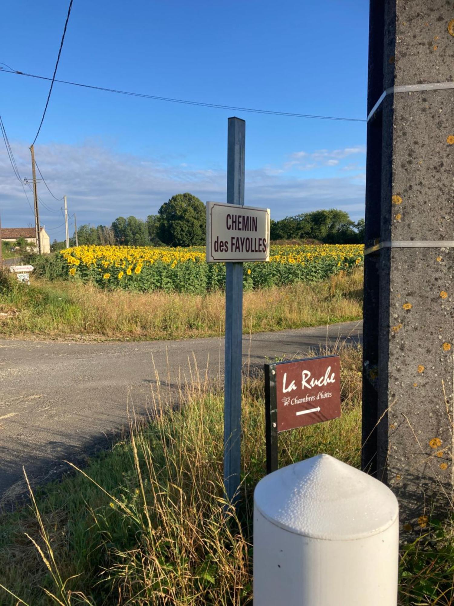 La Ruche Bed & Breakfast Paizay-Naudouin-Embourie Eksteriør bilde